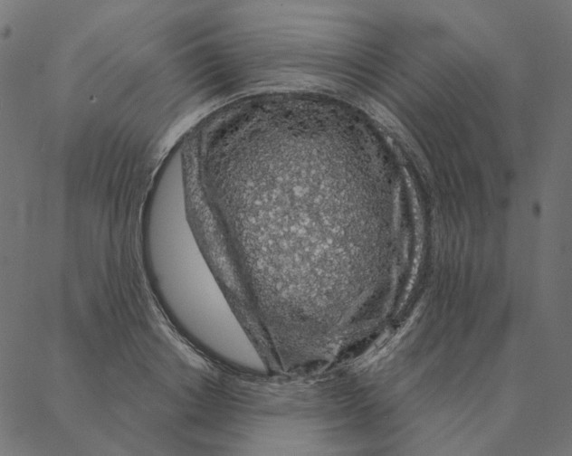 X0000087380842200705181240