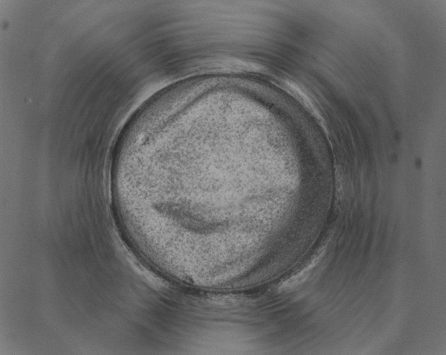 X0000087380843200705181240