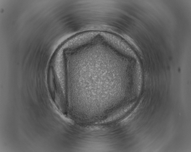 X0000087380846200705181240