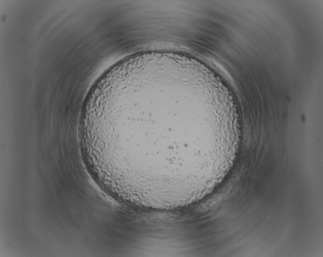 X0000087380847200705181240