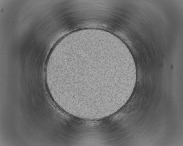 X0000087380848200705181240