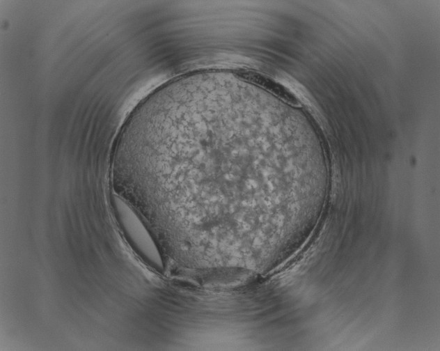 X0000087380850200705181240