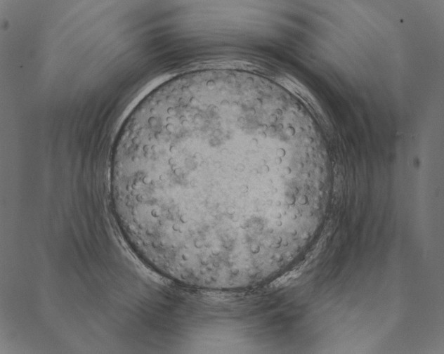 X0000087380852200705181240