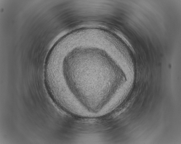 X0000087380853200705181240