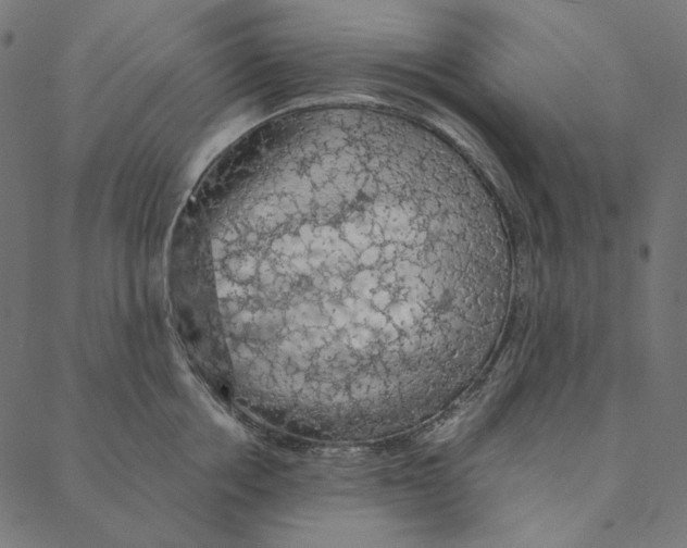 X0000087380858200705181240