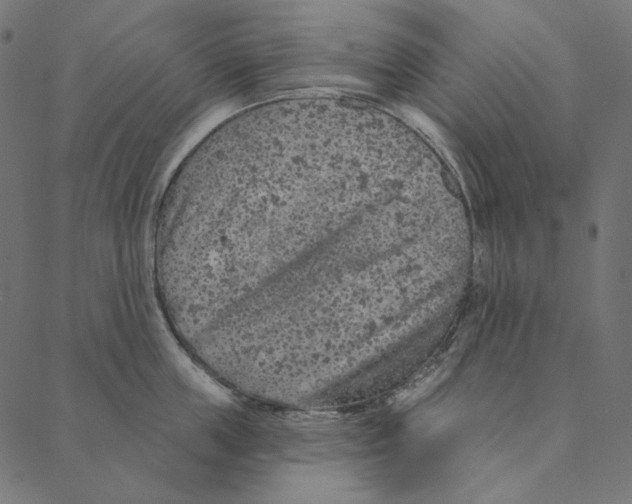 X0000087380859200705181240