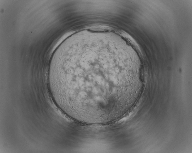 X0000087380860200705181240