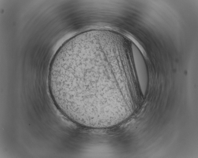 X0000087380861200705181240