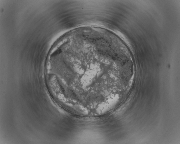 X0000087380862200705181240