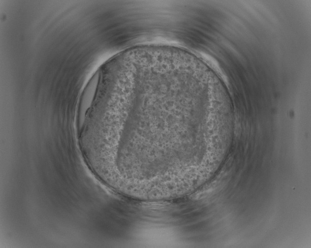 X0000087380863200705181240