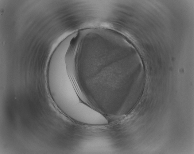 X0000087380864200705181240