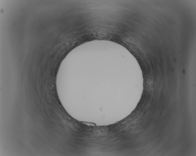 X0000087380865200705181240