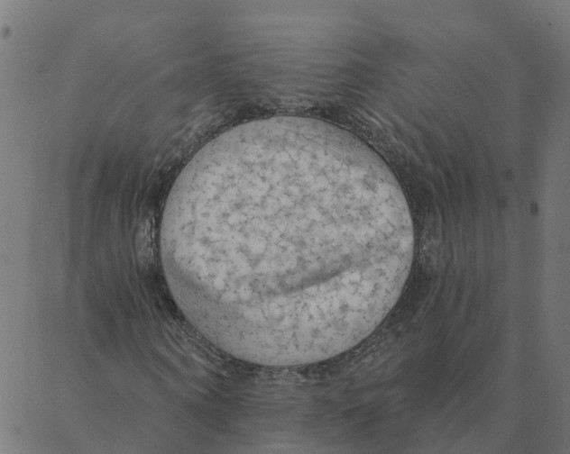 X0000087380866200705181240