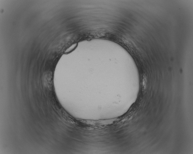 X0000087380867200705181240