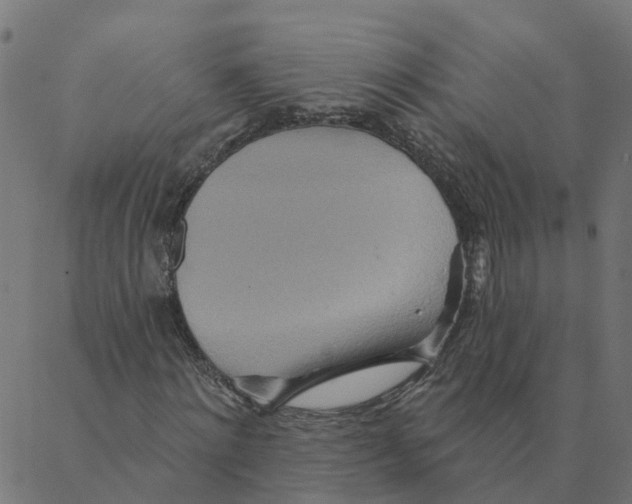 X0000087380868200705181240