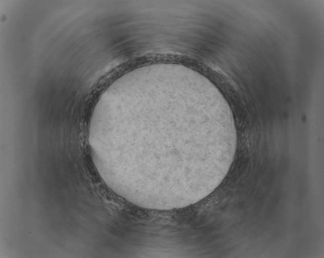 X0000087380870200705181240