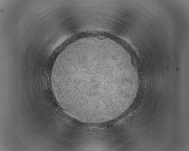 X0000087380871200705181240