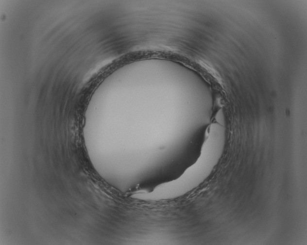 X0000087380872200705181240