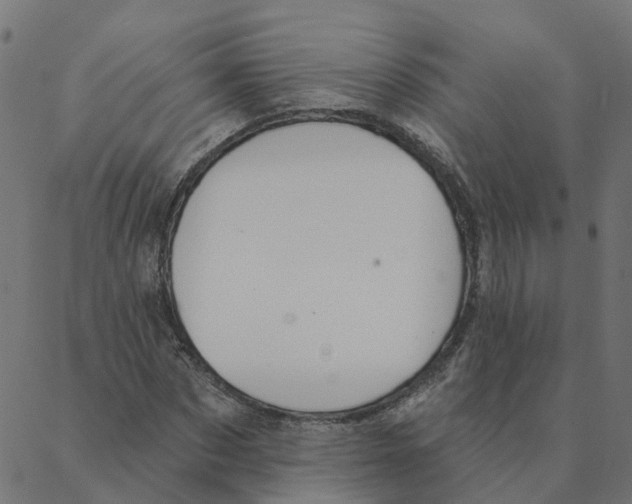 X0000087380873200705181240