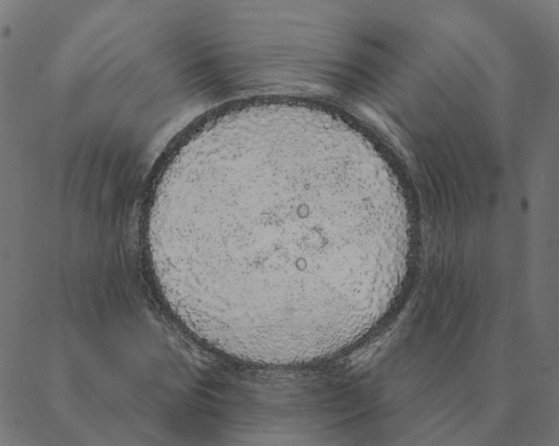 X0000087380875200705181239