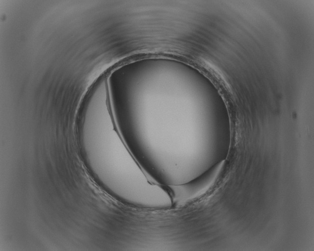 X0000087380876200705181239