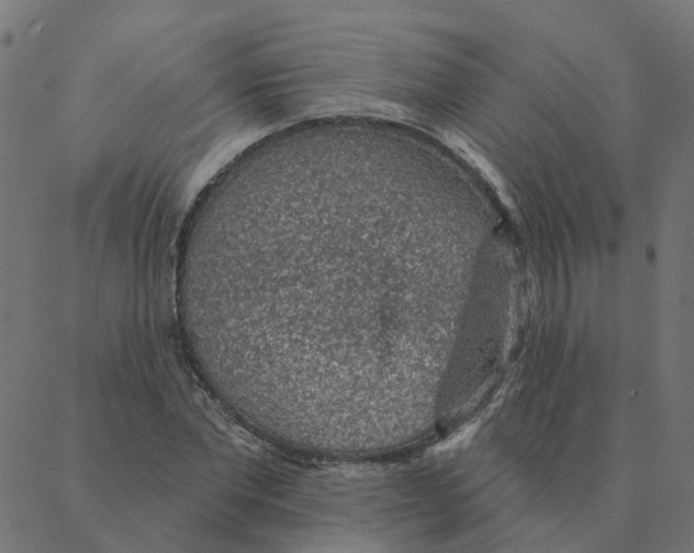 X0000087380877200705181239