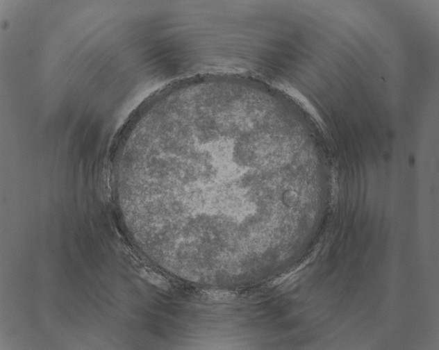 X0000087380878200705181239