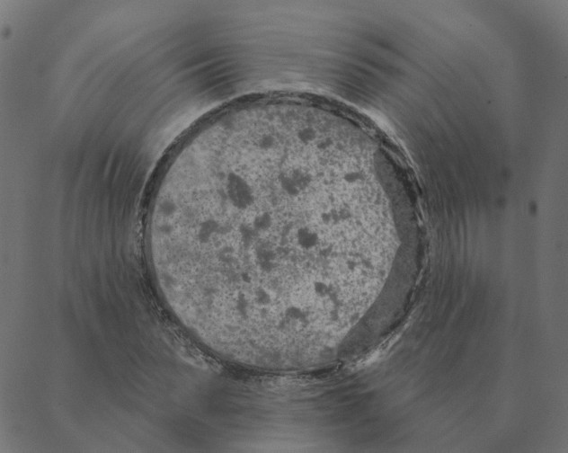 X0000087380879200705181239