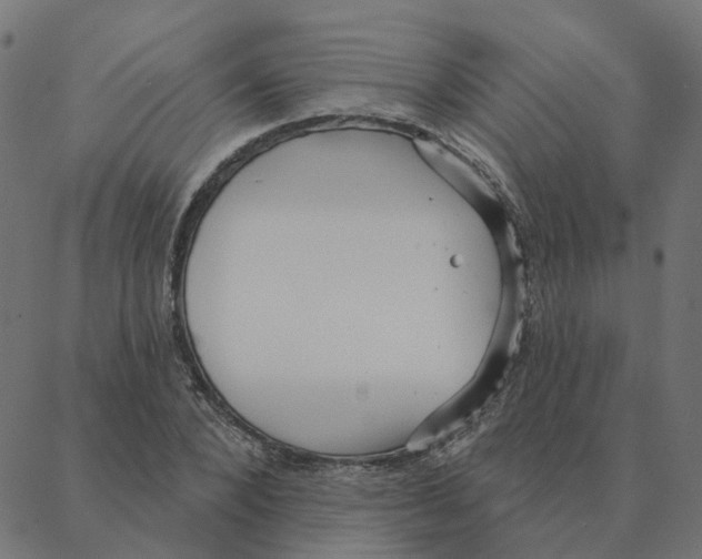 X0000087380880200705181239