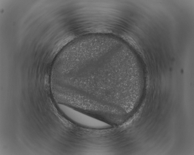 X0000087380881200705181239