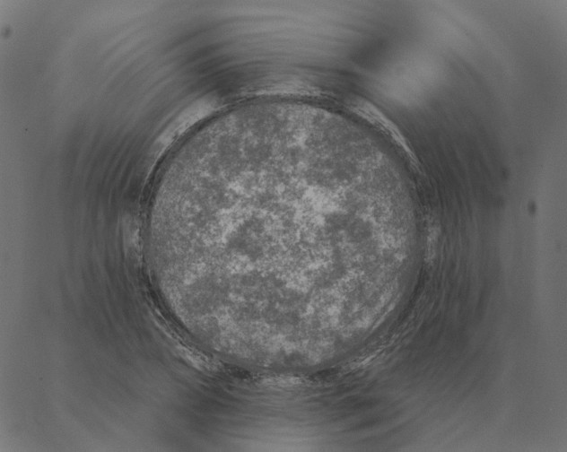 X0000087380882200705181239