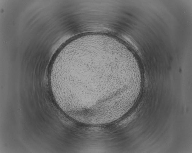 X0000087380883200705181239