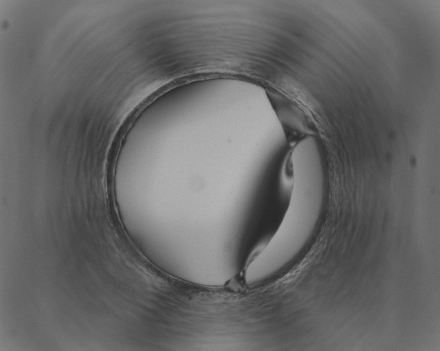 X0000087380884200705181239