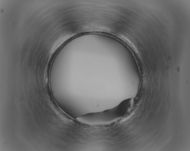 X0000087380885200705181239