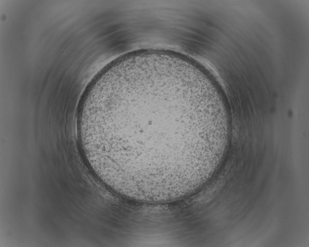 X0000087380887200705181239