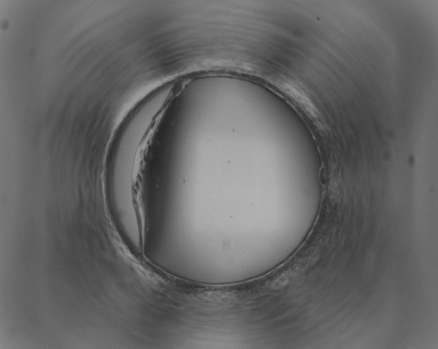 X0000087380888200705181239