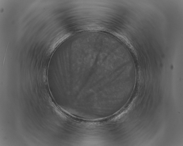 X0000087380889200705181239