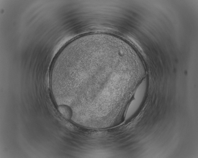 X0000087380891200705181239