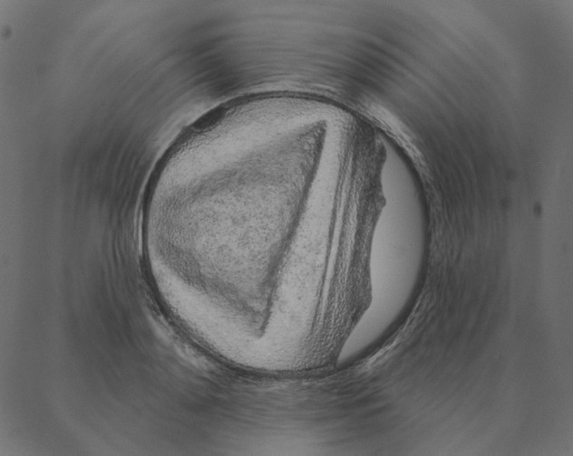 X0000087380892200705181239