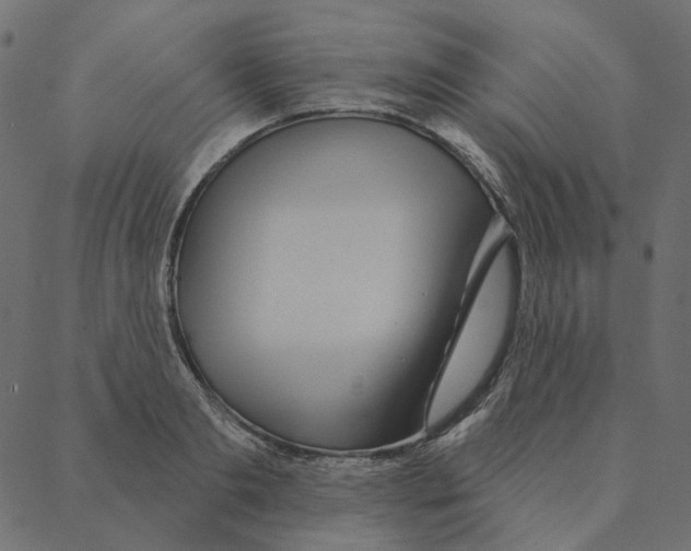 X0000087380893200705181239