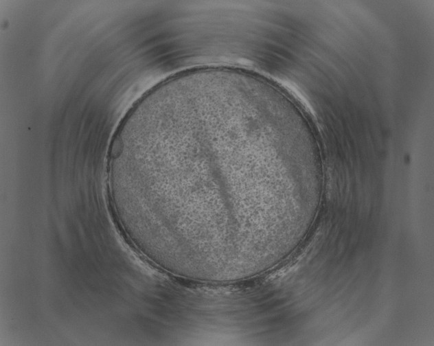 X0000087380895200705181239