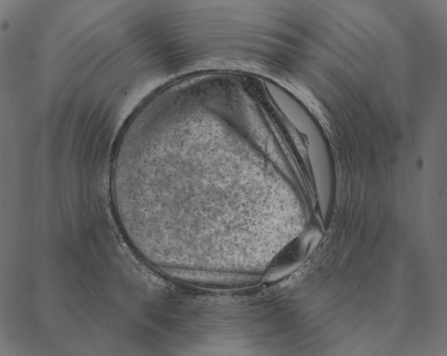 X0000087380896200705181239