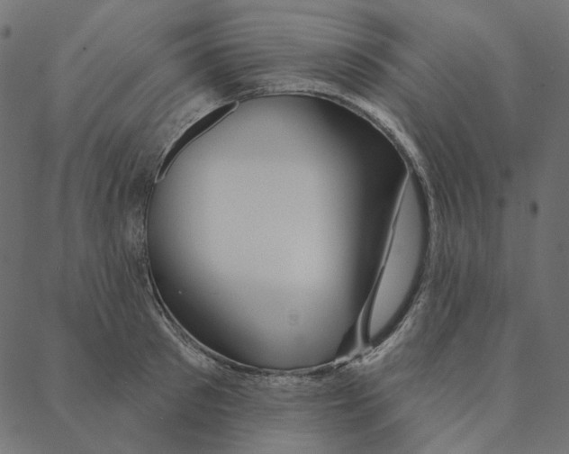 X0000087380897200705181239