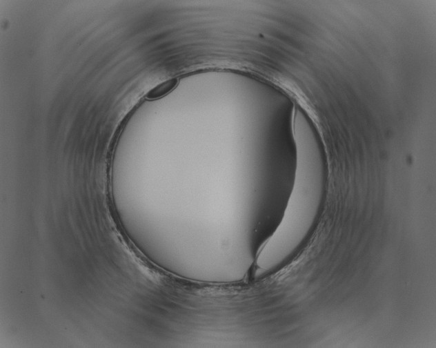 X0000087380898200705181239