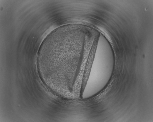 X0000087380899200705181239