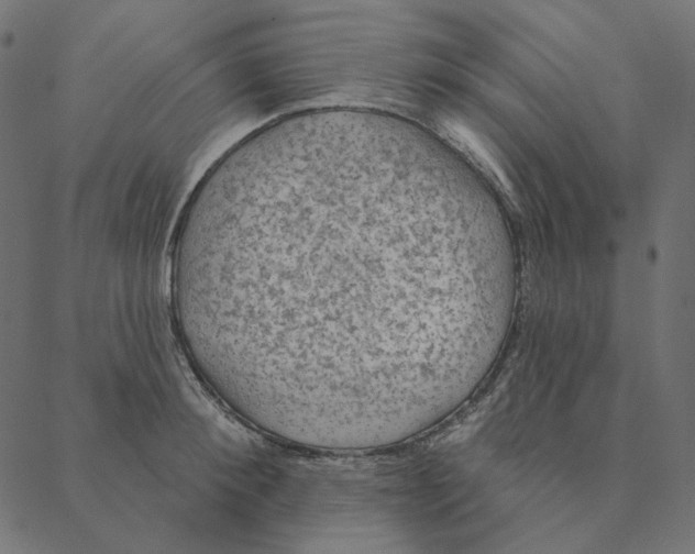 X0000087380900200705181239