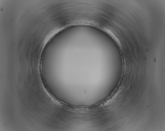 X0000087380901200705181239