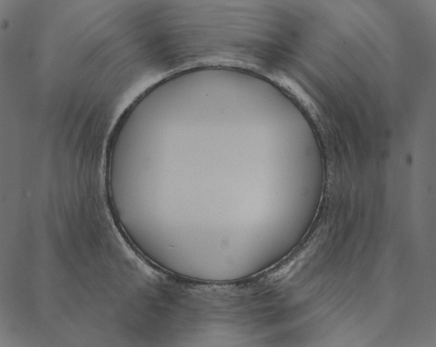 X0000087380902200705181239