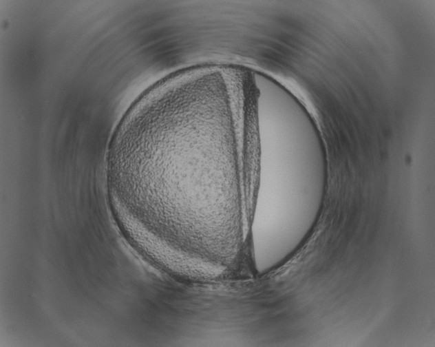 X0000087380903200705181239