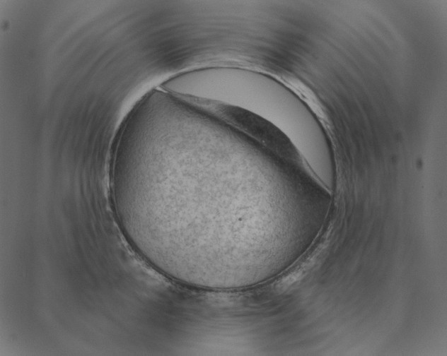 X0000087380904200705181239